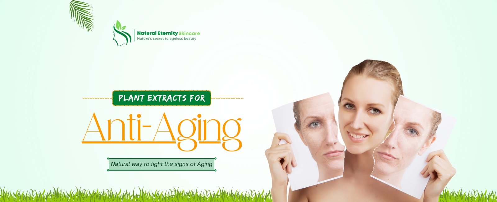 Plants Extracts for Anti-Aging