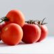 Tomatoes for anti-aging