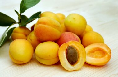 Apricots for aging