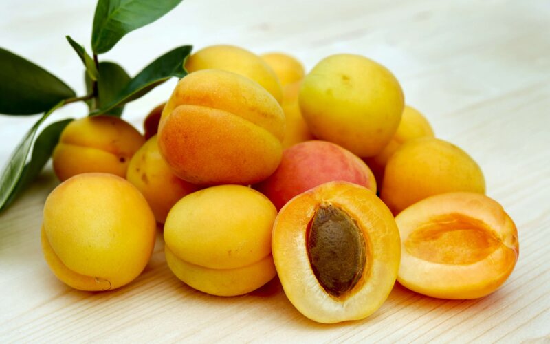 Apricots for aging