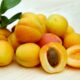 Apricots for aging